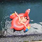 Crystal Rae in 'Hot to Trot'